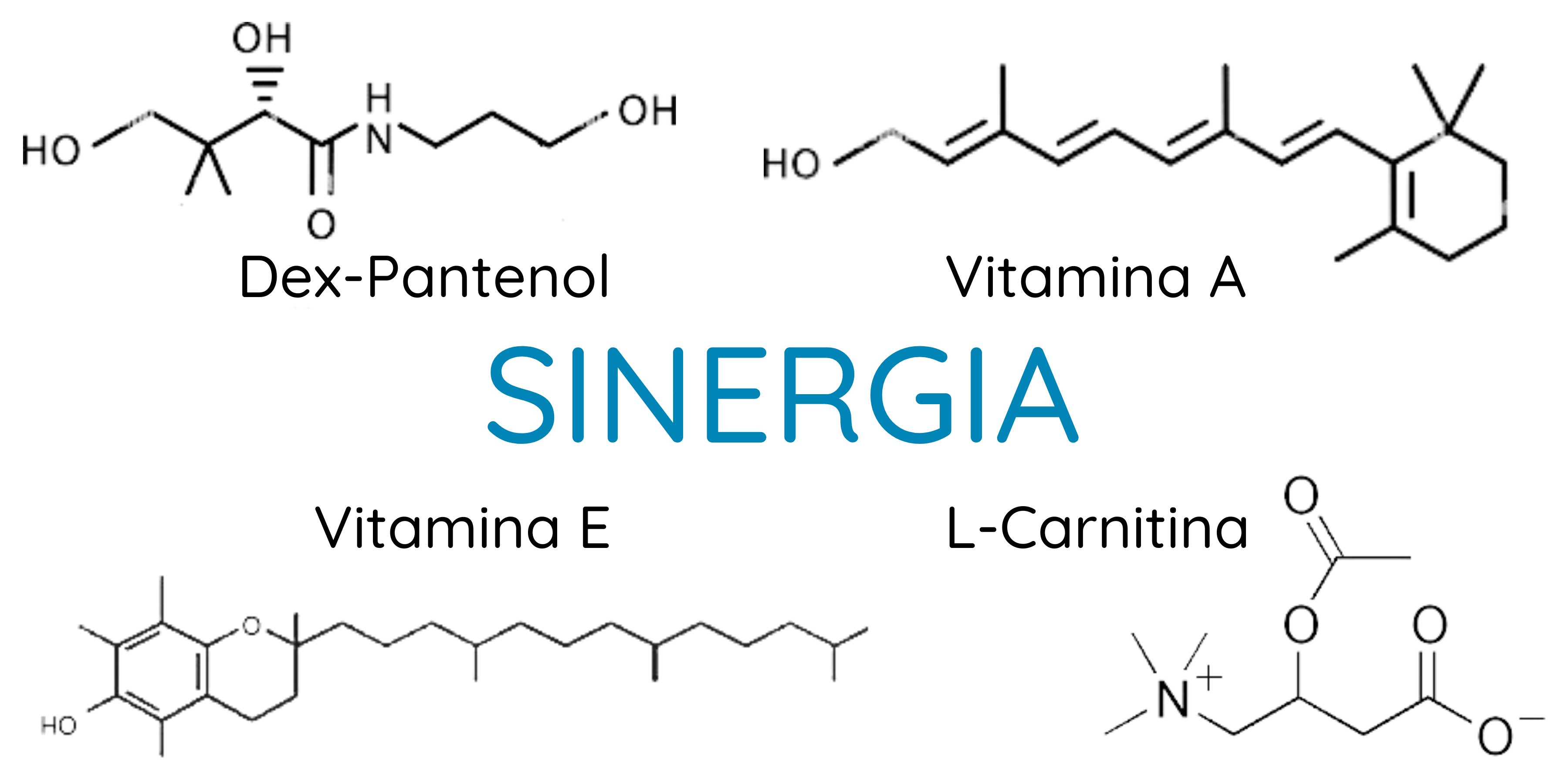 imagen de las moléculas: dex-pantenol, retinol, tocoferol y L-carnitina, 4 moléculas que actuan sinergicamente para regenerar la piel