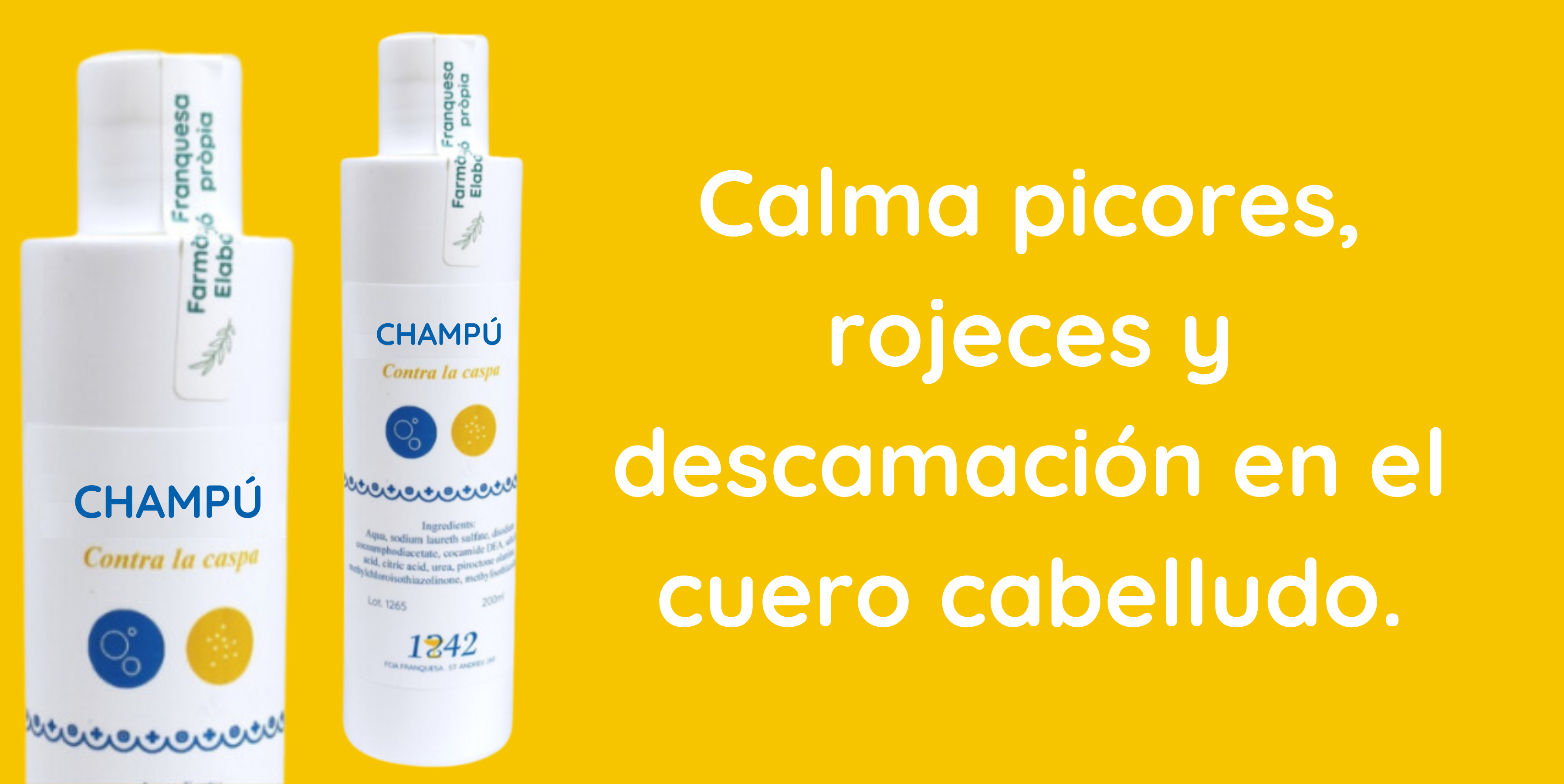 champú contra la caspa 1842, cabello limpio, sin escamas y sin picores.