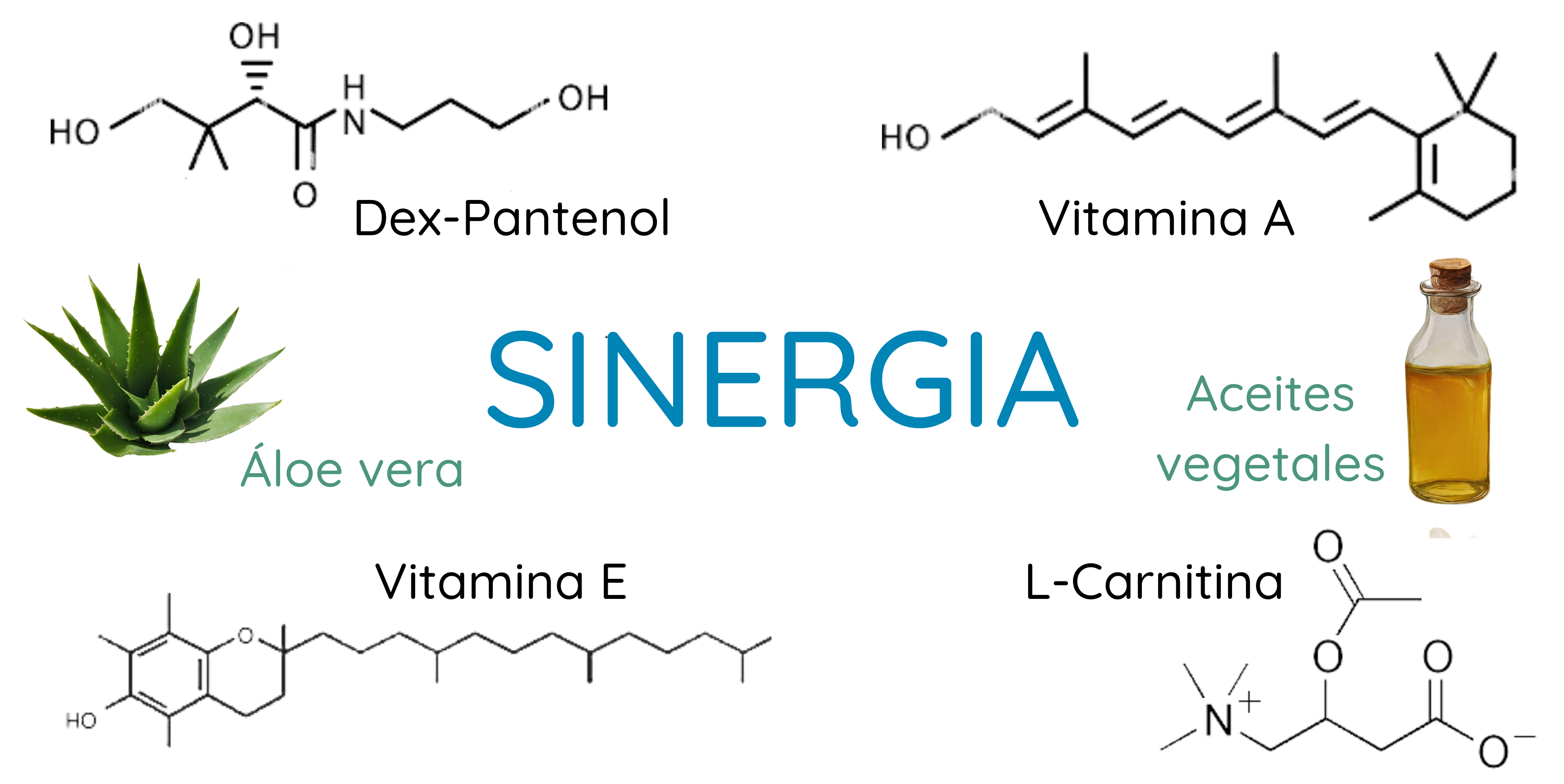 Sinergia de vitamina A y E, aceites vegetales, áloe vera, dex-pantenol y L-carnitina.