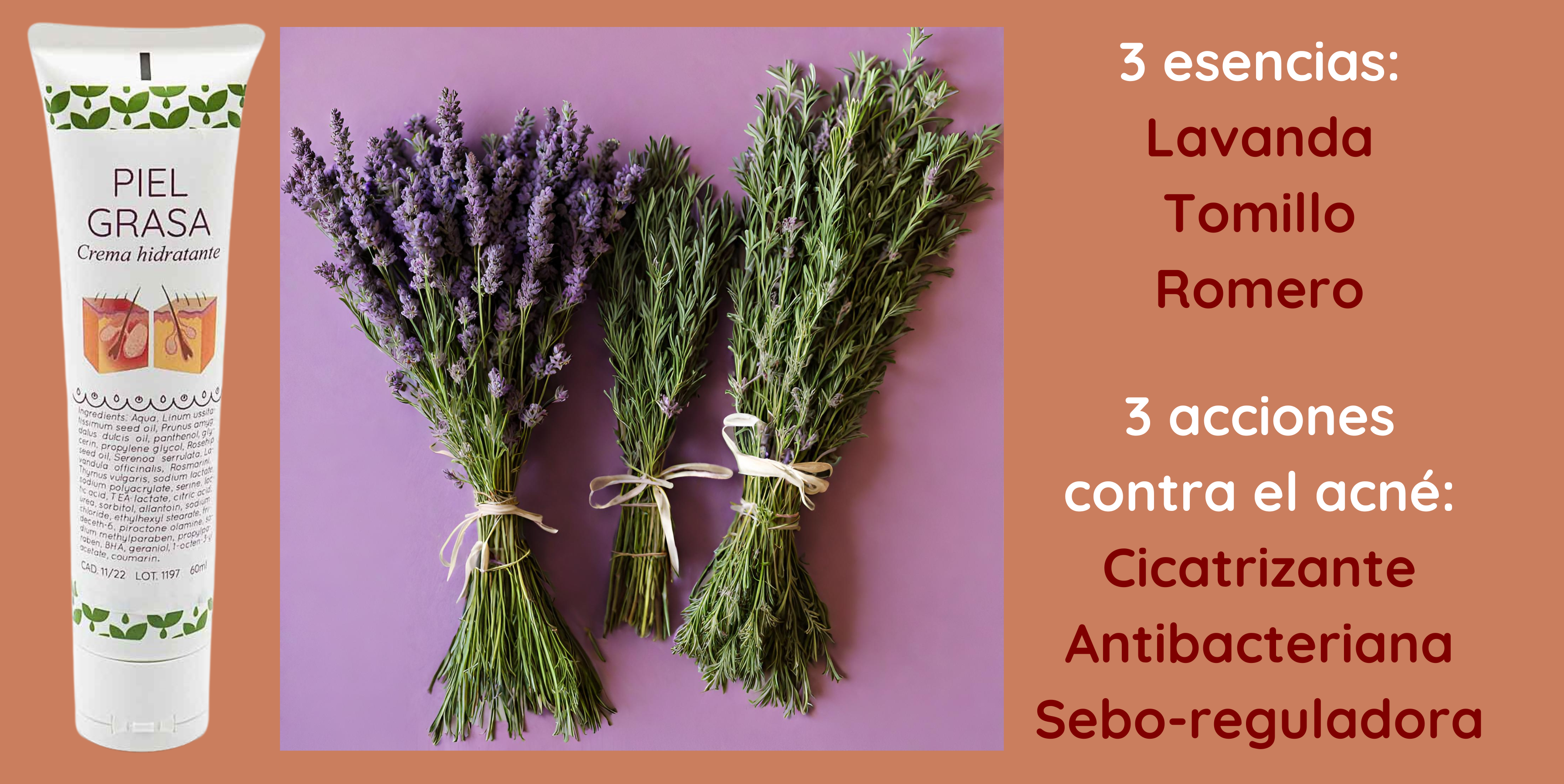 Lavanda, Tomillo y Romero: seborregulador, cicatrizante y antibacteriano.