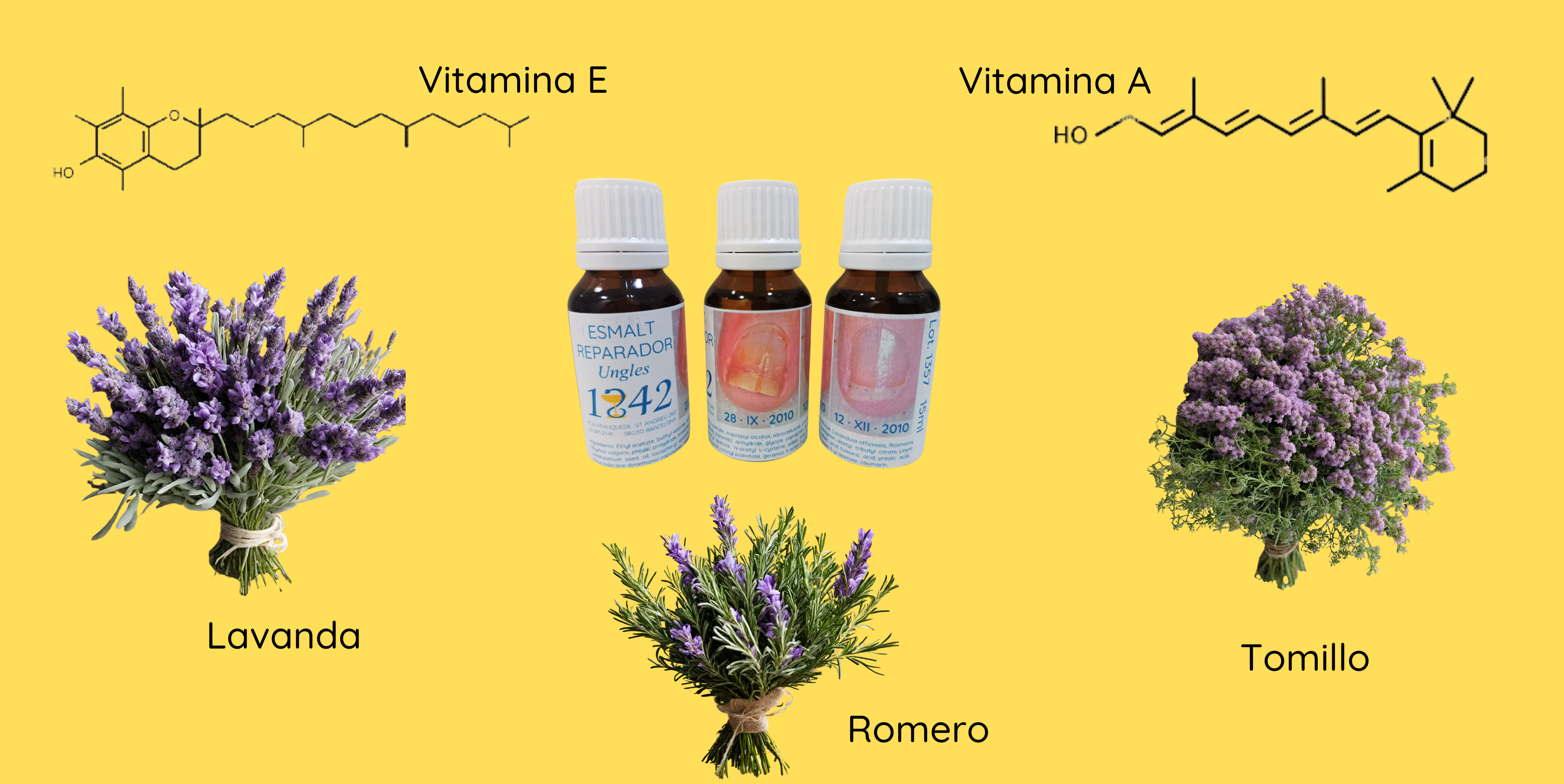 composición esmalte reparador de uñas 1842: vitamina A y E, Lavanda, Tomillo y Romero.